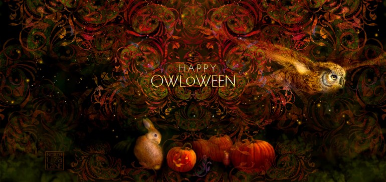 North Liza Lane Happy OwlOween