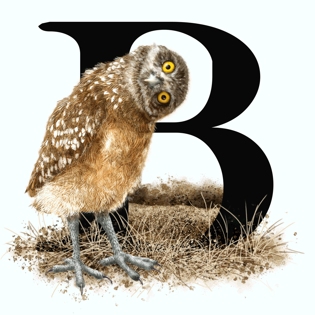 Illustration – “B” is&nbsp;for…