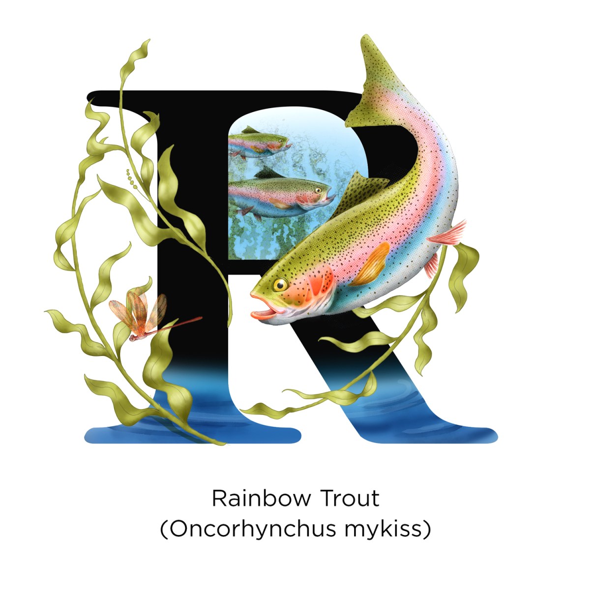 Illustration – “R” is&nbsp;for…